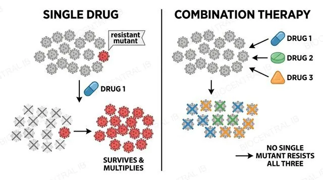 Comparison of single-drug treatment, where a resistant mutant survives and multiplies, versus combination therapy, where no single mutant resists all drugs at once