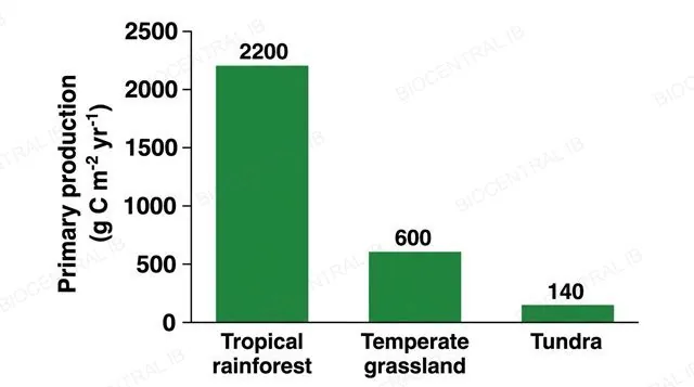 A flat bar chart with a numeric y-axis labeled primary production in grams carbon per square metre per year and three bars labeled tropical rainforest about 2200, temperate grassland about 600, tundra about 140, each bar showing its exact value above it