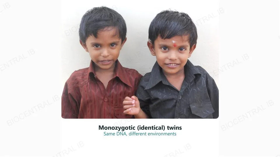 A real photograph of two young monozygotic twin boys standing side by side against a plain wall, captioned Monozygotic (identical) twins, same DNA, different environments.