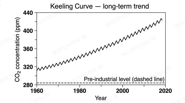 A flat line graph titled Keeling Curve long-term trend with a numeric x-axis of years from 1960 to 2020 and a numeric y-axis of CO2 concentration in ppm from 280 to 440, a rising line from about 315 ppm in 1960 to about 425 ppm in 2020 with small annual zigzags, and a dashed horizontal reference line at 280 ppm labeled pre-industrial level
