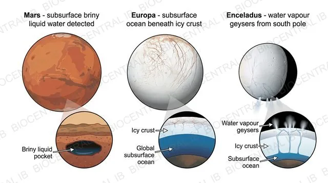 Three solar-system bodies with evidence of liquid water: Mars, Europa, and Enceladus