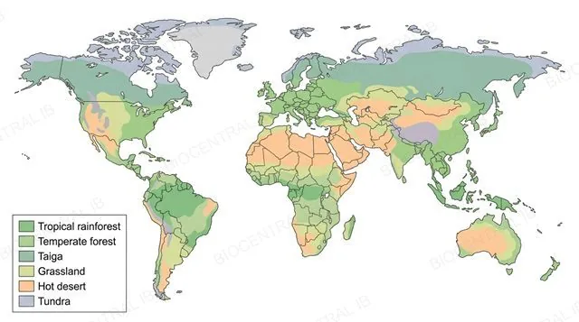 A simplified world map showing the global distribution of six terrestrial biomes: tropical rainforest, temperate forest, taiga, grassland, hot desert and tundra, each in a distinct color, labeled with a legend