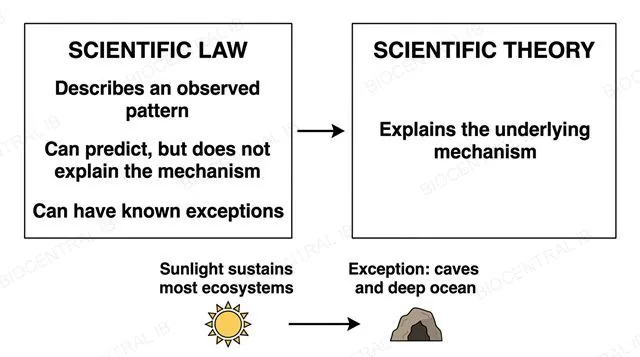 A flat diagram comparing a scientific law, which describes a pattern and predicts without explaining and can have exceptions, against a scientific theory, which explains the underlying mechanism, illustrated below by sunlight sustaining most ecosystems with an exception shown for caves and the deep ocean