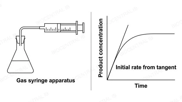 Two-panel diagram: left panel showing a labeled gas syringe apparatus connected to a reaction flask collecting gas produced during an enzyme-catalysed reaction; right panel showing a graph of product concentration over time rising then levelling off with a straight tangent line drawn touching the curve at time zero, labeled initial rate from tangent