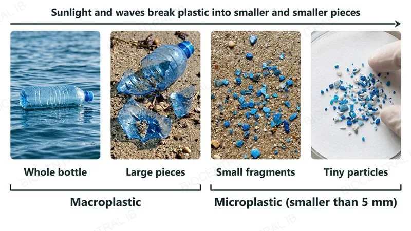 Four photographs in a row showing one plastic bottle breaking down: a whole bottle floating on the sea, large pieces on a beach, small fragments on sand, and tiny microplastic particles on filter paper, with brackets marking macroplastic and microplastic (smaller than 5 millimetres)