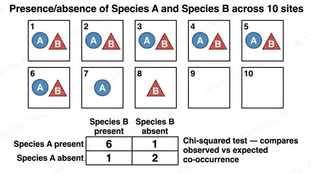 A flat diagram of a grid of ten sampling sites showing presence or absence of Species A and Species B, with a two by two table of observed counts six one one two, labeled chi-squared test compares observed versus expected co-occurrence