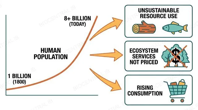 Diagram showing human population growth from 1 billion in 1800 to over 8 billion today driving unsustainable resource use, unpriced ecosystem services, and rising consumption