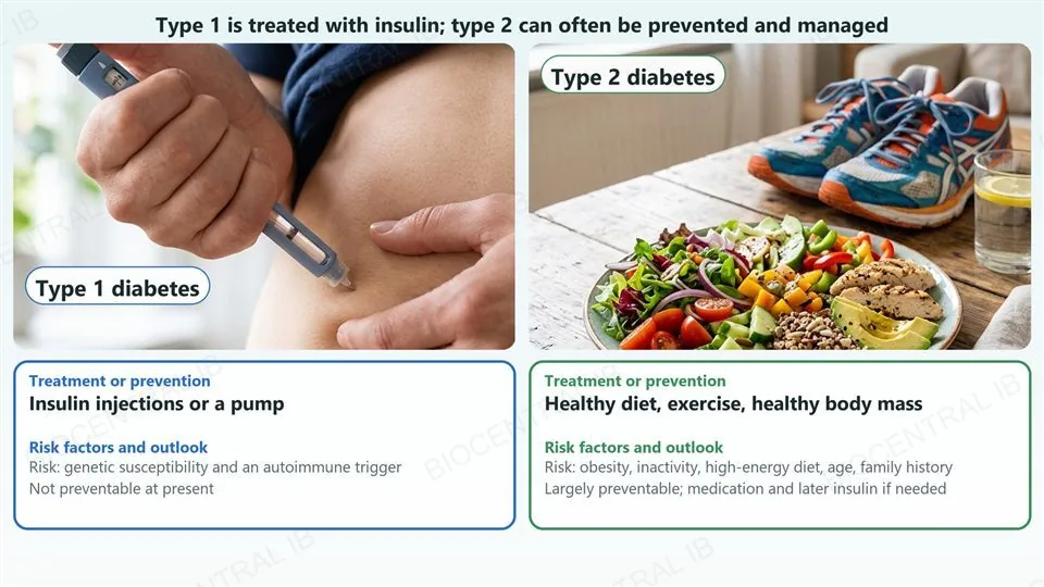 Two photographs. Left, headed type 1 diabetes: a hand pressing an insulin pen against the skin of an abdomen. Right, headed type 2 diabetes: a plate of salad, vegetables, grilled chicken, avocado and whole grains on a wooden table beside running shoes and a glass of water. Under each photograph a card gives the treatment or prevention and the risk factors: type 1 is treated with insulin injections or a pump, its risk is genetic susceptibility and an autoimmune trigger, and it is not preventable at present; type 2 is prevented and managed with a healthy diet, exercise and a healthy body mass, its risks are obesity, inactivity, a high-energy diet, age and family history.