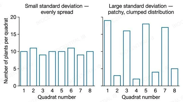 A flat two-panel bar chart with numeric y-axis values for number of plants per quadrat, left panel showing eight similar-height bars labeled small standard deviation evenly spread, right panel showing eight wildly varying bars labeled large standard deviation patchy clumped distribution