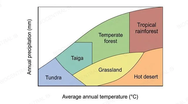 A climate graph with average temperature on the horizontal axis and annual precipitation on the vertical axis, divided into labeled regions for tropical rainforest, temperate forest, taiga, grassland, hot desert and tundra, clean scientific diagram