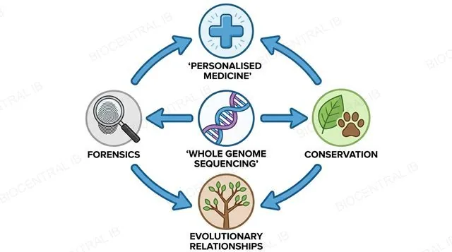 Diagram showing whole genome sequencing used for personalised medicine, whole genome sequencing, conservation and evolutionary relationships, arranged around a central icon