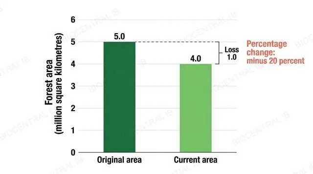A bar chart of forest area with an original bar of 5.0 million square kilometres and a current bar of 4.0 million, and a bracket marking the 1.0 million loss as a 20 percent decrease