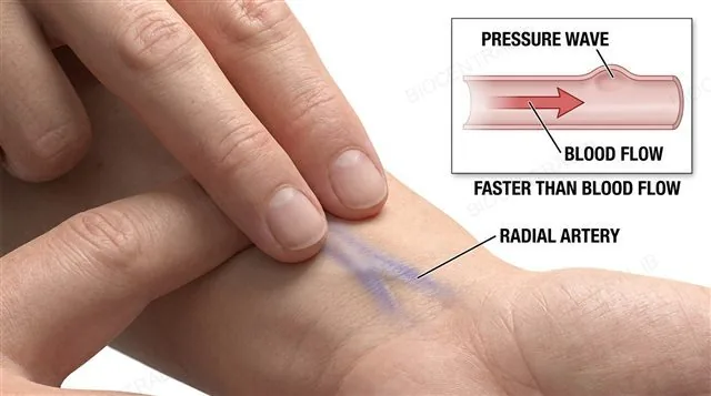 A hand with two fingertips palpating the radial artery pulse at the wrist, next to a diagram of a pressure wave travelling rapidly along an artery wall ahead of the slower-moving blood itself, labeled