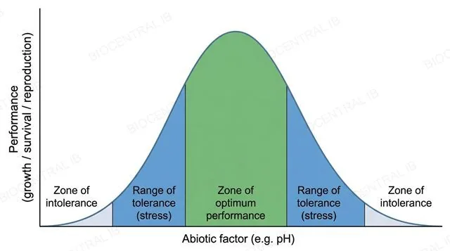 A bell-shaped curve graph of organism performance against an abiotic factor, labeled with zone of intolerance, range of tolerance (stress zones) either side of a central zone of optimum performance