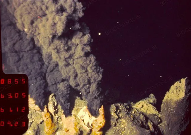 Real photograph of a black smoker hydrothermal vent on the ocean floor, East Pacific Rise