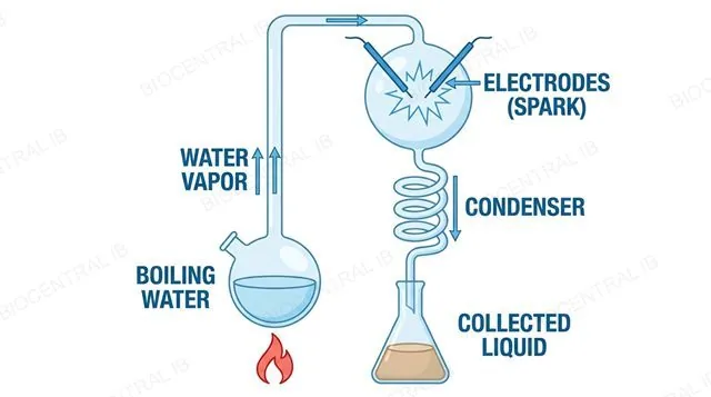 Diagram of the Miller-Urey apparatus with labelled electrodes, condenser, and collected liquid