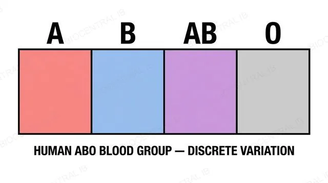 Diagram of discrete variation in human ABO blood group as four separate categories, A, B, AB and O, with no intermediates