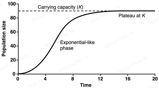 A flat line graph with numeric axes showing an S-shaped sigmoid curve rising immediately from time zero with no flat lag segment, curving through a steep middle phase, then flattening into a plateau at a horizontal dashed line labeled carrying capacity K